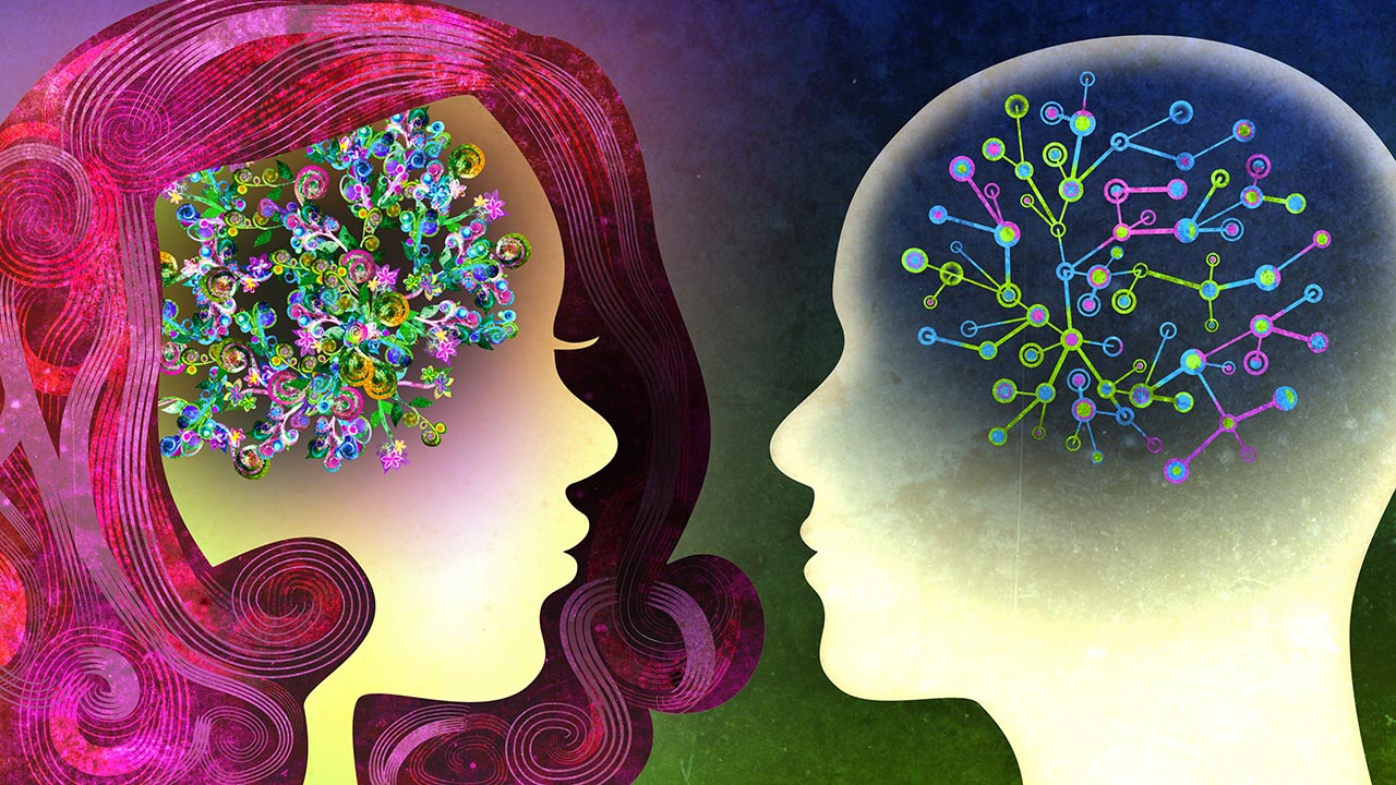 Read more about the article Razlike između muškog i ženskog mozga